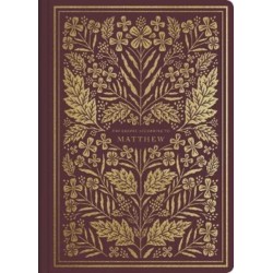 ESV Illuminated Scripture Journal: Matthew (Paperback)