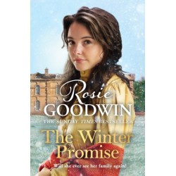 The Winter Promise: A perfect cosy Victorian saga from the Sunday Times bestselling author