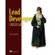 Lead Developer Career Guide