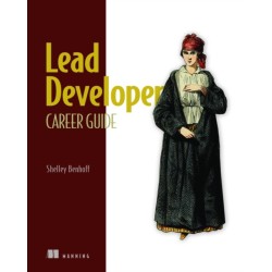 Lead Developer Career Guide