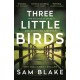 Three Little Birds: 'The modern-day Agatha Christie' Steve Cavanagh