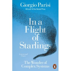 In a Flight of Starlings: The Wonder of Complex Systems
