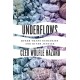 Underflows: Queer Trans Ecologies and River Justice