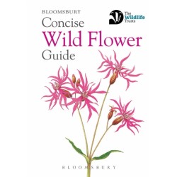 Concise Wild Flower Guide