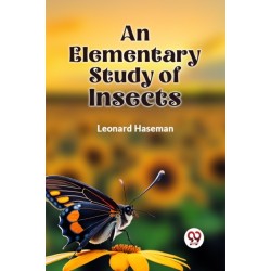 An Elementary Study of Insects