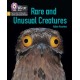 Rare and Unusual Creatures: Phase 5 Set 5 Stretch and Challenge