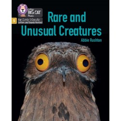 Rare and Unusual Creatures: Phase 5 Set 5 Stretch and Challenge
