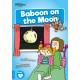 Baboon on the Moon