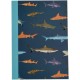 A6 notebook - Sharks