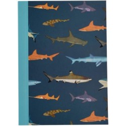A6 notebook - Sharks