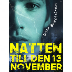 Natten till den 13 november