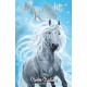 Moonlight Riders: Storm Stallion: Book 2