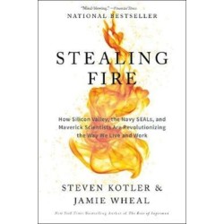 Stealing Fire: How Silicon Valley, the Navy Seals, and Maverick Scientists are Revolutionizing the Way We Live and Work