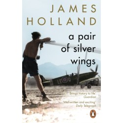 A Pair of Silver Wings