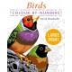 Large Print Colour by Numbers Birds: Easy-to-Read