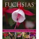 Fuchsias: an Illustrated Guide to Varieties, Cultivation and Care, with Step-by-step Instructions and More Than 130 Beautiful Photographs