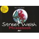 Street Welsh - Phrasebook