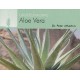 Understanding Aloe Vera