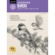 Drawing: Birds: Learn to draw step by step