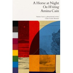 A Horse at Night: On Writing