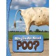 Why Do We Need Poo?