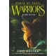 Warriors: Power of Three -2: Dark River