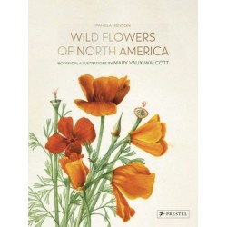 Wild Flowers of North America: Botanical Illustrations by  Mary Vaux Walcott