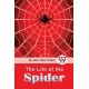 The Life of the Spider