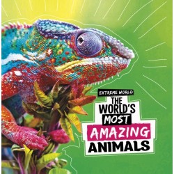 The World's Most Amazing Animals