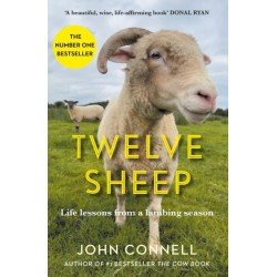 Twelve Sheep: Life lessons from a lambing season