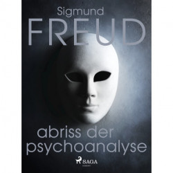 Abriss der Psychoanalyse