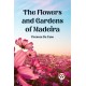 The Flowers and Gardens of Madeira (Edition2023)