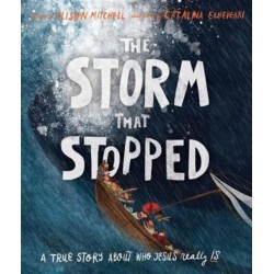 The The Storm That Stopped Storybook: A true story about who Jesus really is