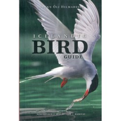 Icelandic Bird Guide: Appearance, Way of Life, Habitat