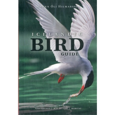 Icelandic Bird Guide: Appearance, Way of Life, Habitat