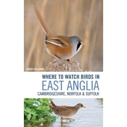 Where to Watch Birds in East Anglia: Cambridgeshire, Norfolk and Suffolk