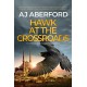 Hawk at the Crossroads