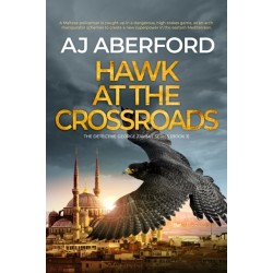 Hawk at the Crossroads