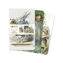 Alice's Adventures in Wonderland Set of 3 Mini Notebooks