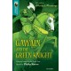 Oxford Reading Tree TreeTops Greatest Stories: Oxford Level 16: Gawain and the Green Knight