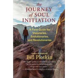 The Journey of Soul Initiation: A Field Guide for Visionaries, Revolutionaries, and Evolutionaries