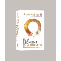 In a Moment, in a Breath: 55 Meditations to Cultivate a Courageous Heart