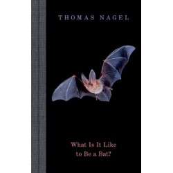 What Is It Like to Be a Bat?