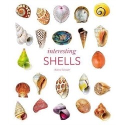 Interesting Shells