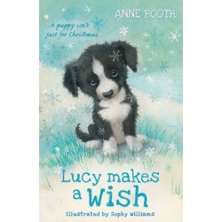 Lucy Makes a Wish