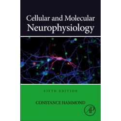 Cellular and Molecular Neurophysiology