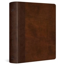 ESV Journaling Study Bible