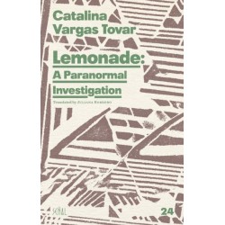 Lemonade: A Paranormal Investigation