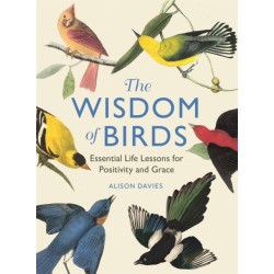 The Wisdom of Birds: Essential Life Lessons for Positivity and Grace