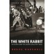 The White Rabbit